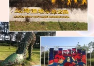 乐跑设备是否配备摄像头？如何用手机连接乐跑？