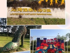 乐跑设备是否配备摄像头？如何用手机连接乐跑？