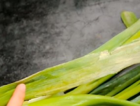 大葱冰箱保存方法有哪些？如何正确存放大葱以延长保鲜期？