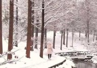 苹果手机如何拍摄雪景？雪景模式的设置方法是什么？