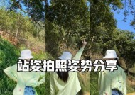 安静的自拍杆如何使用？拍照技巧有哪些？