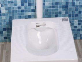 马桶与蹲便器（比较舒适性、卫生性和环保性）