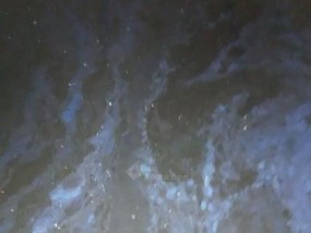 净水器内水为什么会发白（深入探究净水器内水发白的原因及解决方法）