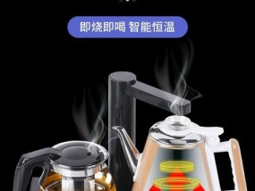 如何正确清洁苏泊尔饮水机（简单易行的清洁步骤助您保持水质健康）