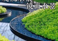 华为手机开启水景摄像头的步骤是什么？