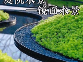 华为手机开启水景摄像头的步骤是什么？