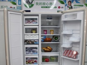LG冰箱灯不亮原因及解决方法（解决您LG冰箱灯不亮的疑惑）