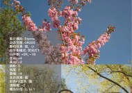 柯达相机镜头滤镜调整技巧有哪些？