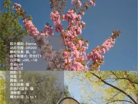 柯达相机镜头滤镜调整技巧有哪些？