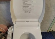 松下马桶进水慢的原因及维修方法（深入解析松下马桶冲水速度慢的问题）