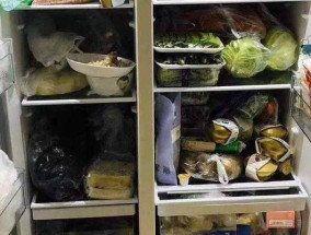 新冰箱有塑料味正常吗（解决新冰箱塑料味的方法和注意事项）