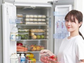 冰箱不制冷内不结冰的原因及解决方法（为什么冰箱不制冷）