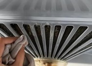清洗抽油烟机的最佳方法（除油垢绝招）