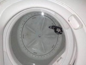 洗衣机塑料生锈的原因及解决方法（探究洗衣机塑料生锈的原因）