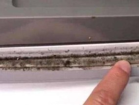 冰柜下面漏水处理方法（解决冰柜漏水问题的实用技巧）