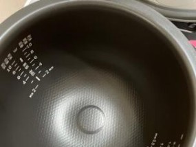 电饭煲煮饭为何会发红（探索电饭煲发红原因及解决办法）