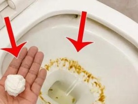 马桶堵了怎么办？用白醋和小苏打能解决问题吗？