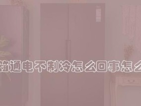 冰箱洗后不制冷的原因及解决方法（为何冰箱洗后不制冷）