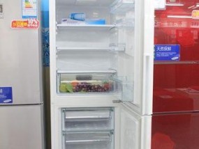冰箱放不平的解决方法（以冰箱摆放不平影响的解决方法为切入点）