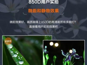 冰箱里出现蚂蚁怎么办？有效防蚂蚁的方法有哪些？