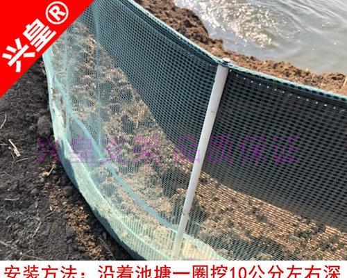 如何用洗衣机轻松清洗螃蟹龙虾（快捷）  第1张
