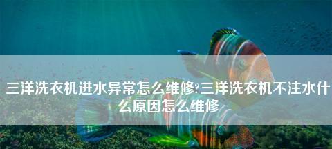 三洋洗衣机显示E4故障原因及解决方法（三洋洗衣机故障代码E4的意义与处理）  第2张