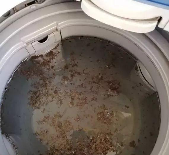 洗衣机水垢形成原因分析（水垢对洗衣机的影响及预防方法）  第3张