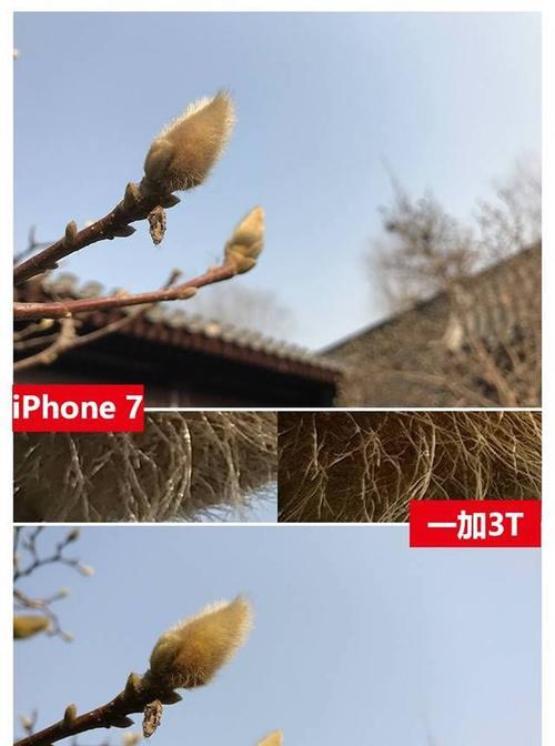 手机拍照物体显示很多很大怎么拍？拍摄技巧是什么？  第3张