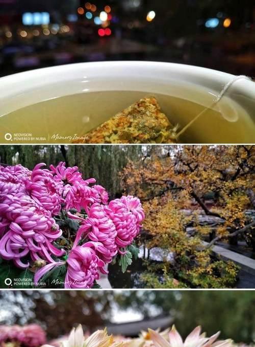 苹果手机拍照成片为何总是横向？  第1张