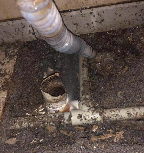 电风扇防苍蛇效果如何？使用中有哪些注意事项？  第3张