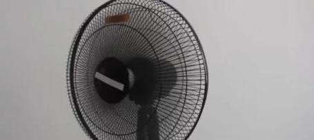 电风扇进蚊子会怎么样？图片展示效果如何？  第1张