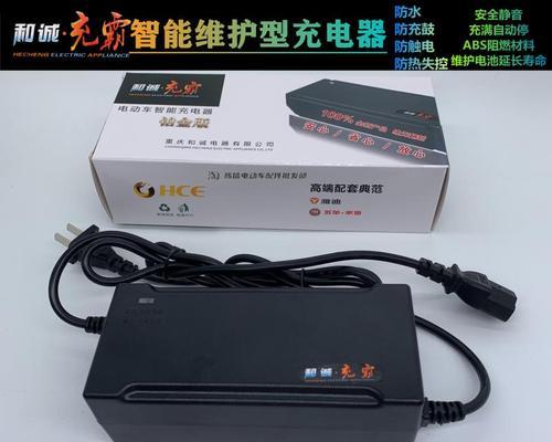 专用养电器充电器使用方法是什么？  第2张