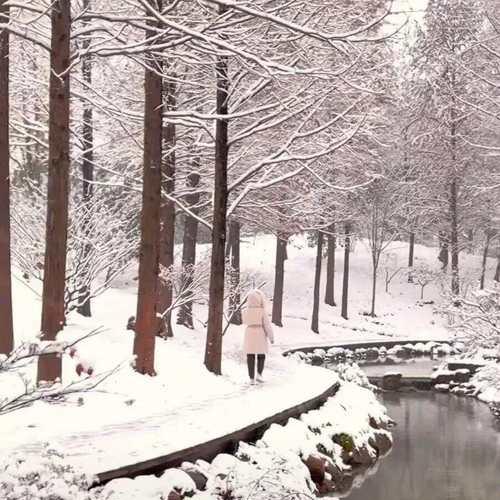 苹果手机如何拍摄雪景？雪景模式的设置方法是什么？  第1张