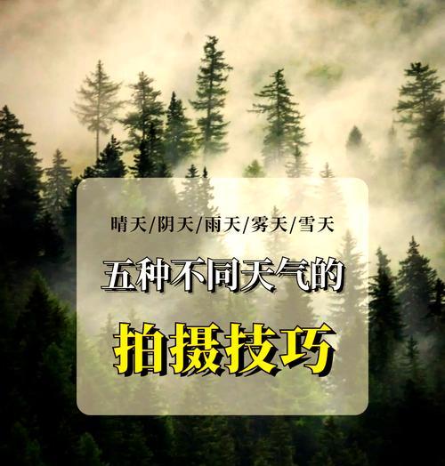 苹果手机如何拍摄雪景？雪景模式的设置方法是什么？  第2张